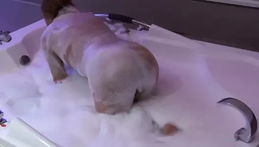 Güzel karım arkadaşımla sikişmeden önce motelde jakuzinin tadını çıkarıyor