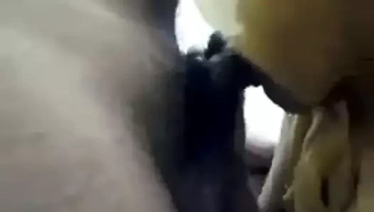 tesettür hint kız emme