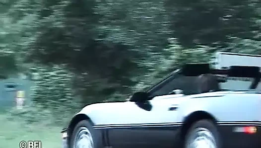 Forbidden flanders 2