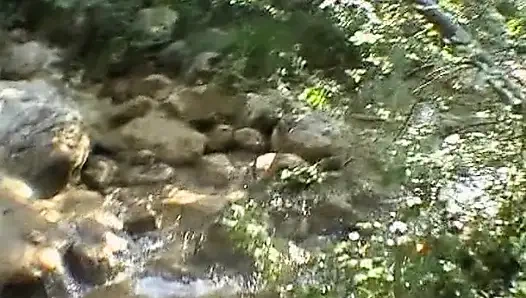 Fransız ir'den kızıl saçlı hatun ormanda anal sikiliyor