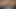 üreme partisi