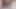 Tombul oyuncak Asya milf sürtük ile bir kıllı kedi