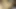 Step Father's Day. Stepdad fucks his stepdaughter,  and ends up cumming inside her when her cuckold mother is not at home