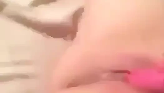 Dik kedi fışkırtma