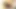 Seksi kız uzun bir dildoyla sıkı amını sikerken inliyor