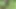 Teyzemin muz tarlasına doğru gittiğini görüyorum, onu takip ettim ve sarıldım ve plantasyonda onu sikmeye başladım.