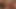 Seksi kız, değerlendiriciyi yeni bir kanepeye ihtiyacı olduğuna ikna ediyor