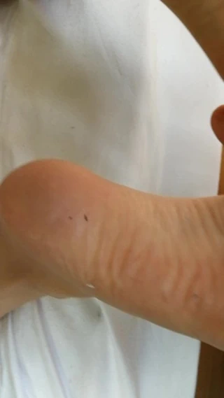 Şeffaf tayt kedi ve tabanlar