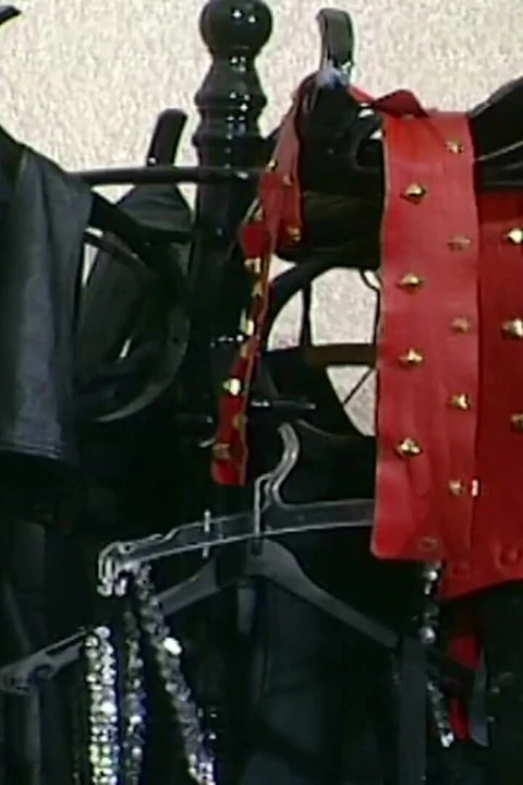 Gözleri bağlı kaltaklar sikiliyor