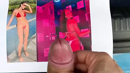 Cumtribute dbdc86