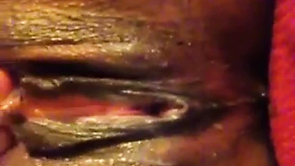 En ıslak kediyi ov ve gel