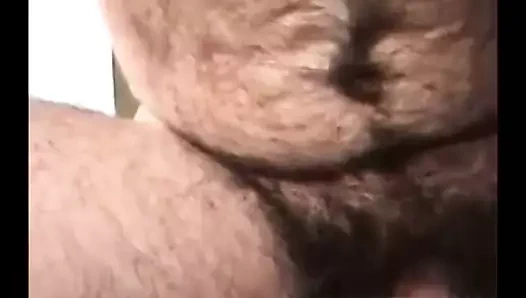 azgın kıllı ayı wanker