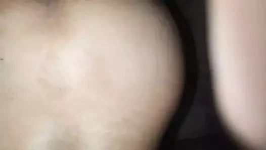 İkinci kez kahrolası kedi