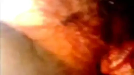 Ben ve benim sulu kedi