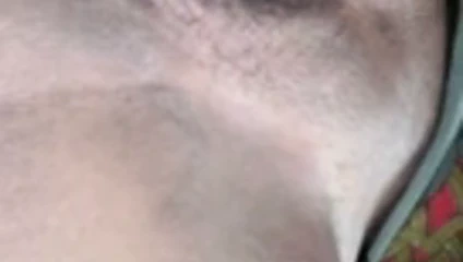 Tatlı siyah kedi ihtiyaçlar büyük çük