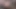 German teen is on a penis and persuades stepbrother