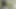 Bahçıvanı dölünü yutana kadar sikiyorum - İspanyolca porno