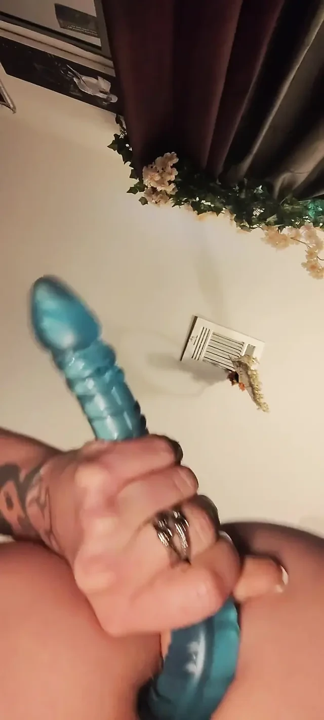 Время игр для киски