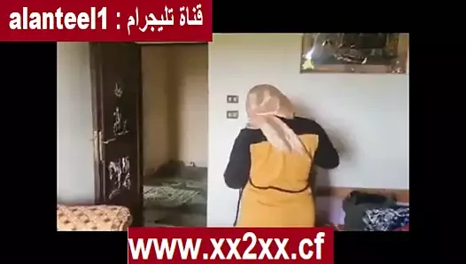 Mısır marbiba şermota