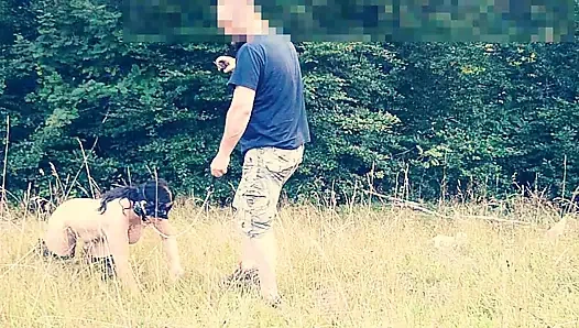 Kamu sürtük tasması üzerinde aşağılanmış – sıcak