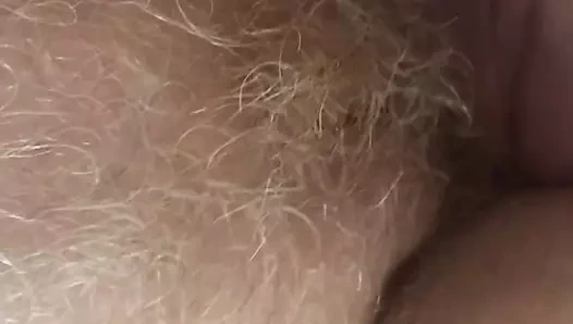 Benim olgun kızıl saçlı ıslak kedi benim parmaklarımdan hoşlanır