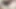 Porno yıldızı yarak alıyor