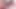 Trans latina thais tavares kahrolası göt sonra oral seks
