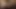 00001Ellie Bee