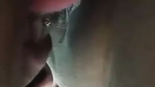 Gf emme kedi