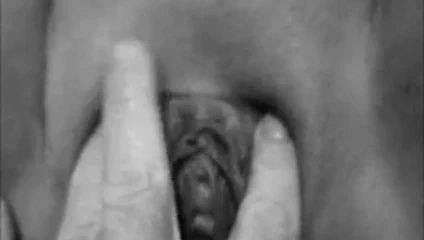 0069 majestelerinin gizli servisinde