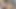 Pornstarplatinum minyon kız Callie Cyprus babası tarafından sikiliyor