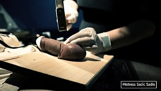 İlk Kez Topları ve İğneyi Meşe Palamudunuzdan Çiviliyorsun.