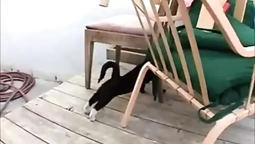 Nexxxt backyard mmf dp çift anal üçlü