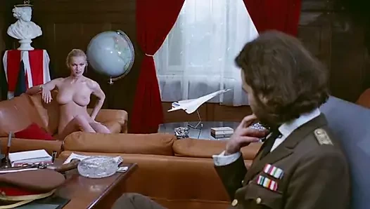 Ada kadınları (1980)