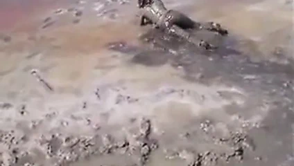 Marjorie okyanusta ıslanıp çamurlanıyor - açık havada