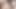 Avustralyalı str8 kişisel antrenör ilk eşcinsel oral seks yapıyor - altyazılı
