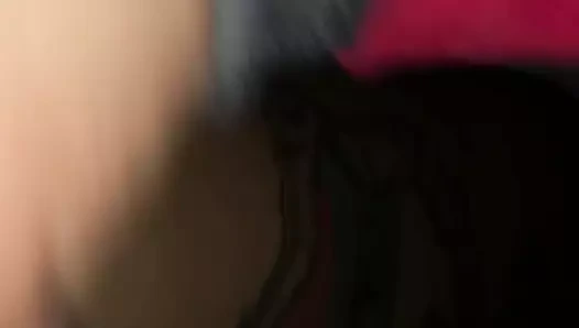 Arabada ıslak sondaj kedi