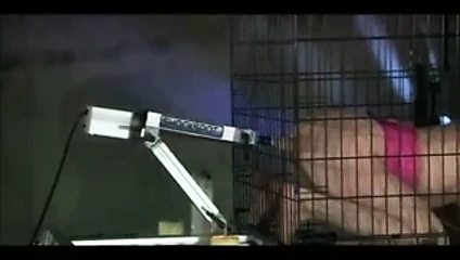 Kafesli robotik çete patlaması