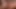 Ladyboy ploy şişman horoz binicilik