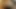 Sağma bbc latina swinger eş itibaren texas