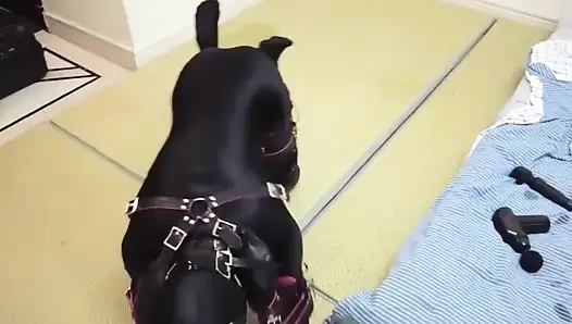 Mz08 - the Bound in Latex Suit Reaches Climax