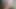 Tüylü MILF Oral Oyunları