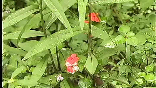 Küçük anal krem şişkinlik 03