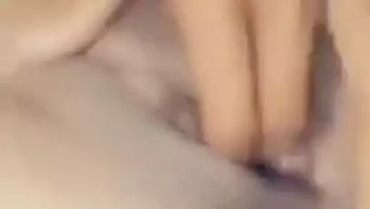 Vid