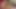 Büyük yaraklı çarpıcı travestiler emiliyor ve bir adamla sikişiyor