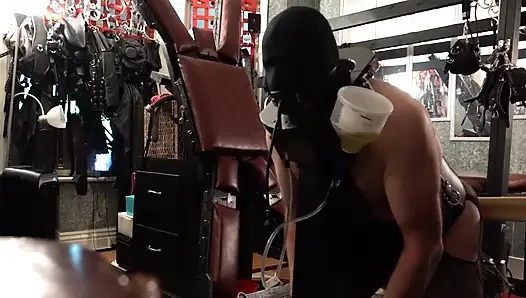 Erkek sidik kölesi içkisini bitirene kadar kriket sopasıyla şaplaklandı