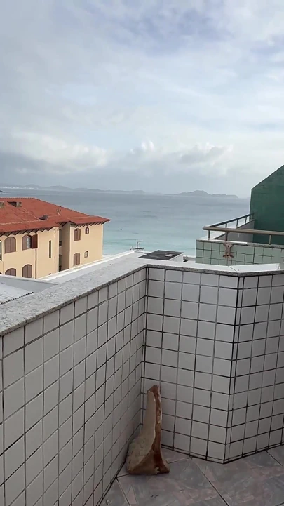 Terastaki yabancı döl yutuyor