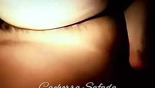 Cachorra Sentando na Rola preta