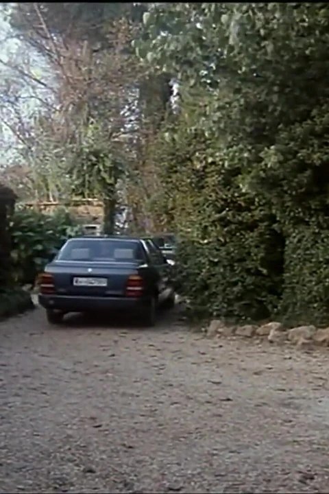 Moana Pozzi и еще одну шлюшку с волосатой киской трахнули и кончили в рот большими членами