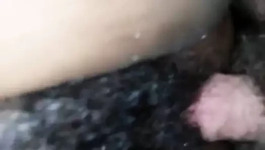 beyaz horoz içinde siyah kıllı KEDİ